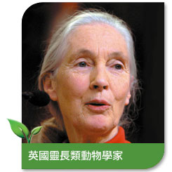 Jane Goodall